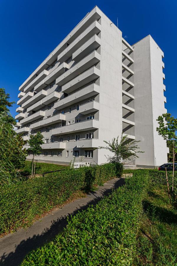Koa - Pandora Apartments 布拉索夫 外观 照片