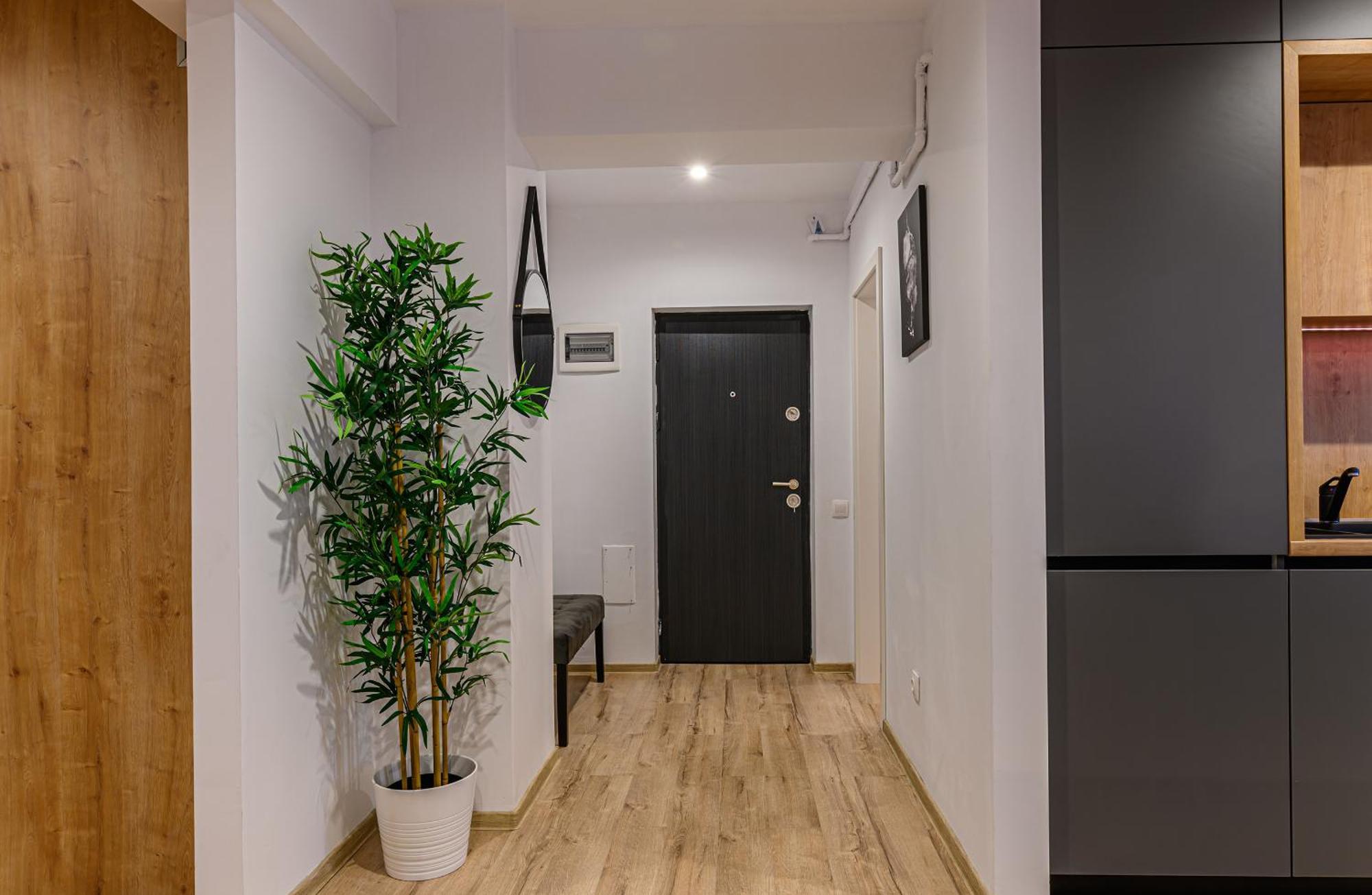 Koa - Pandora Apartments 布拉索夫 客房 照片